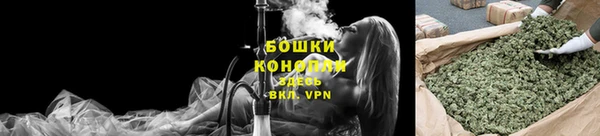 индика Кукмор