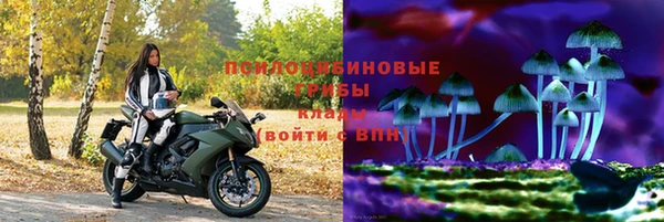 мет Нязепетровск