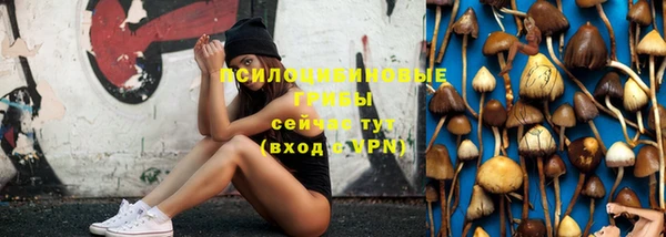 мет Осинники
