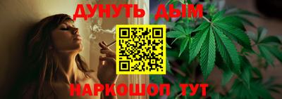 крисы Кимры