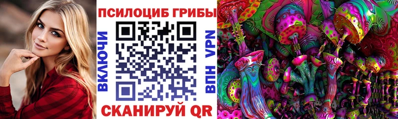 Галлюциногенные грибы Psilocybine cubensis  купить наркотики цена  Кондопога 