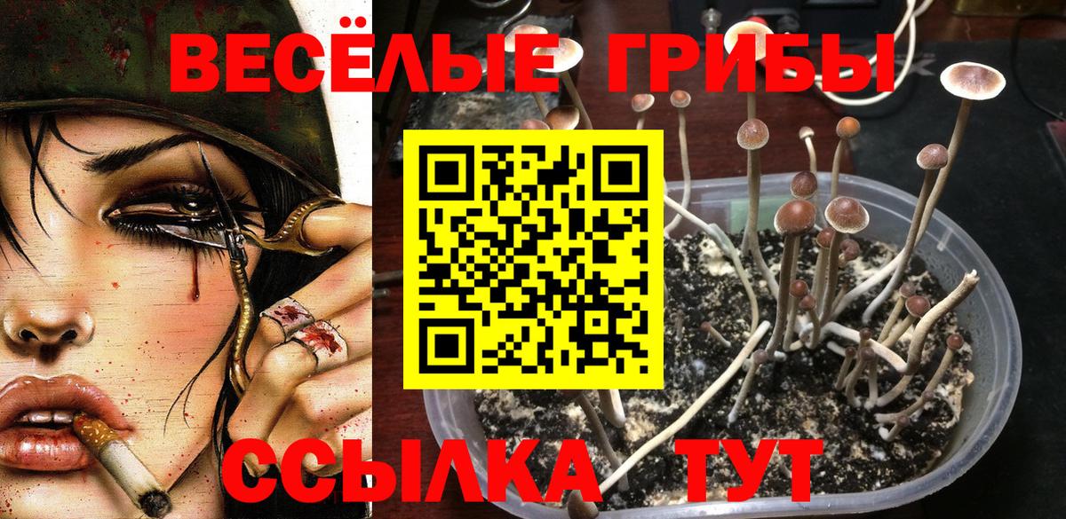 Псилоцибиновые грибы Magic Shrooms Кондопога