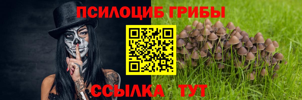 хочу наркоту  Псилоцибиновые грибы мухоморы  Псилоцибиновые грибы мицелий  Вход с VPN  Кондопога 